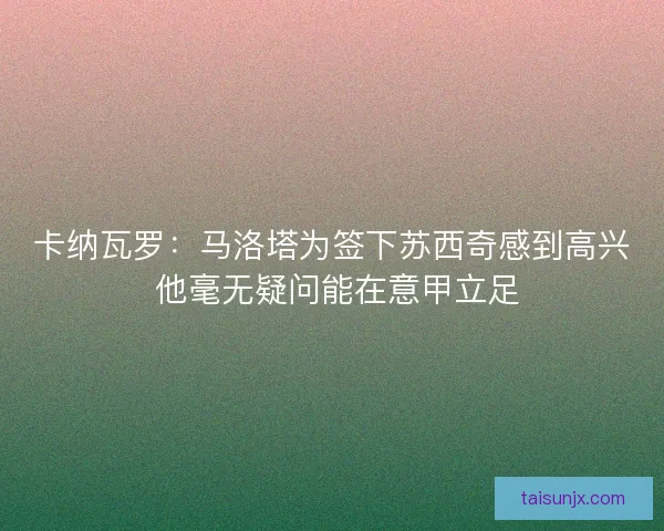 卡纳瓦罗：马洛塔为签下苏西奇感到高兴 他毫无疑问能在意甲立足